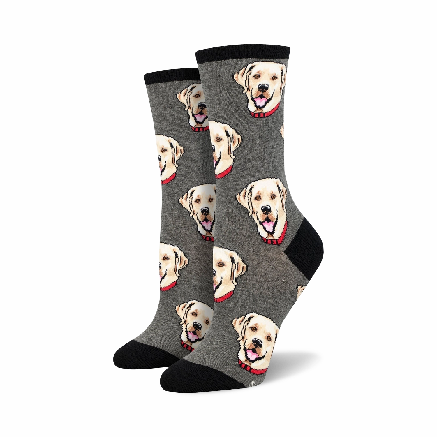 Labrador