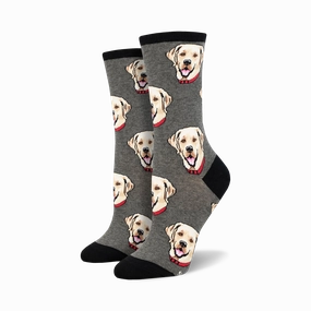 Labrador