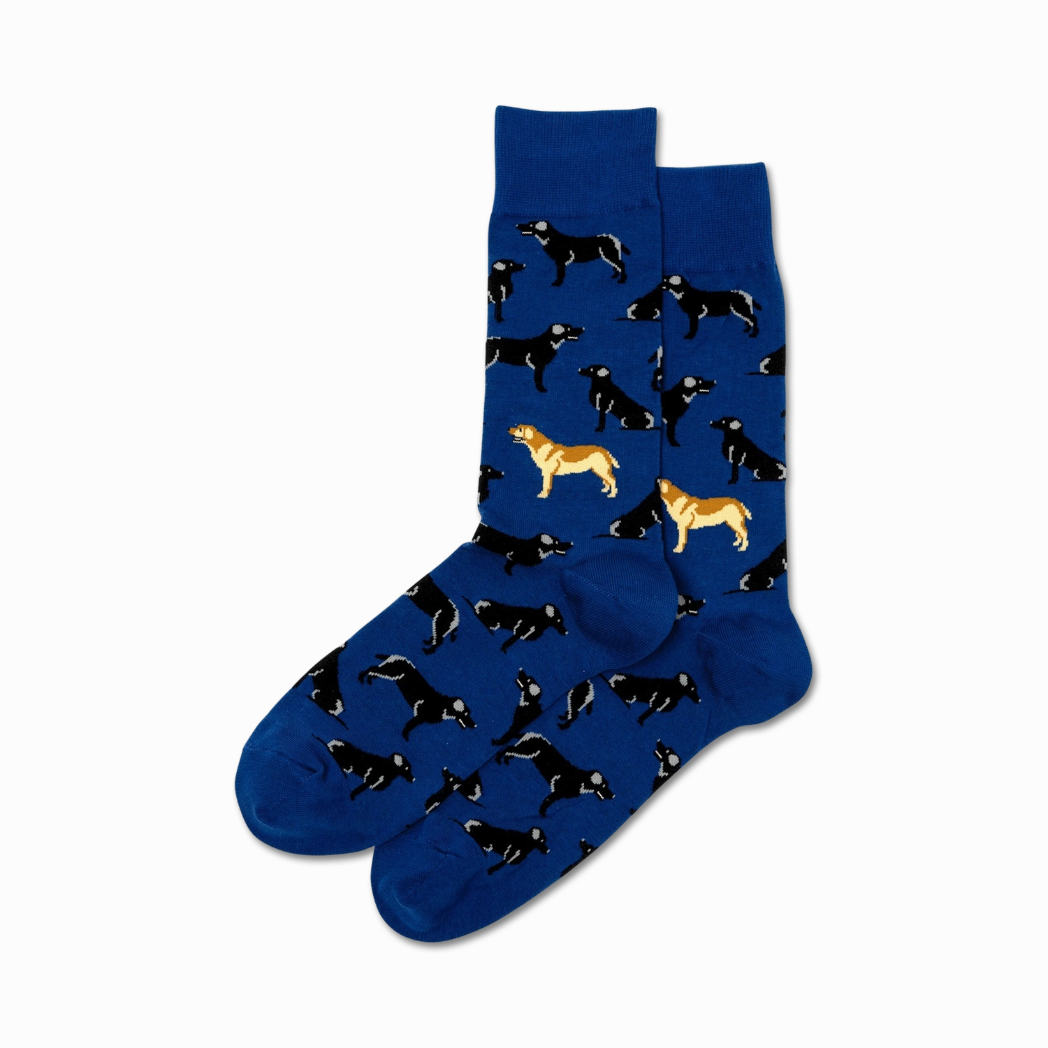 Labrador