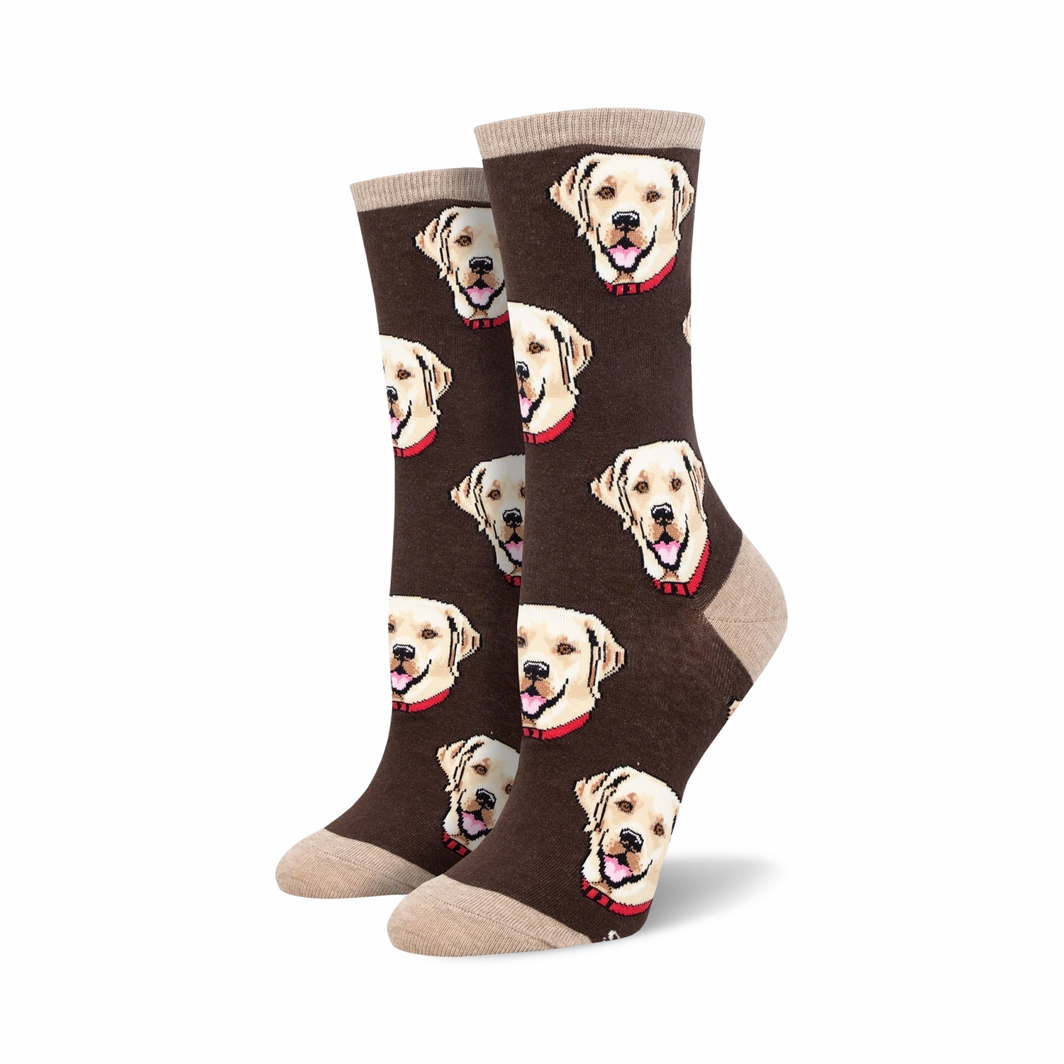Labrador