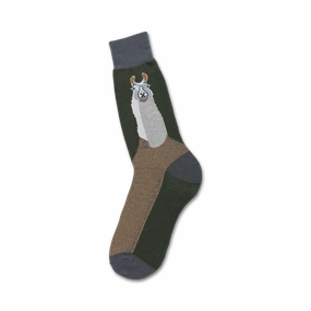 Llama