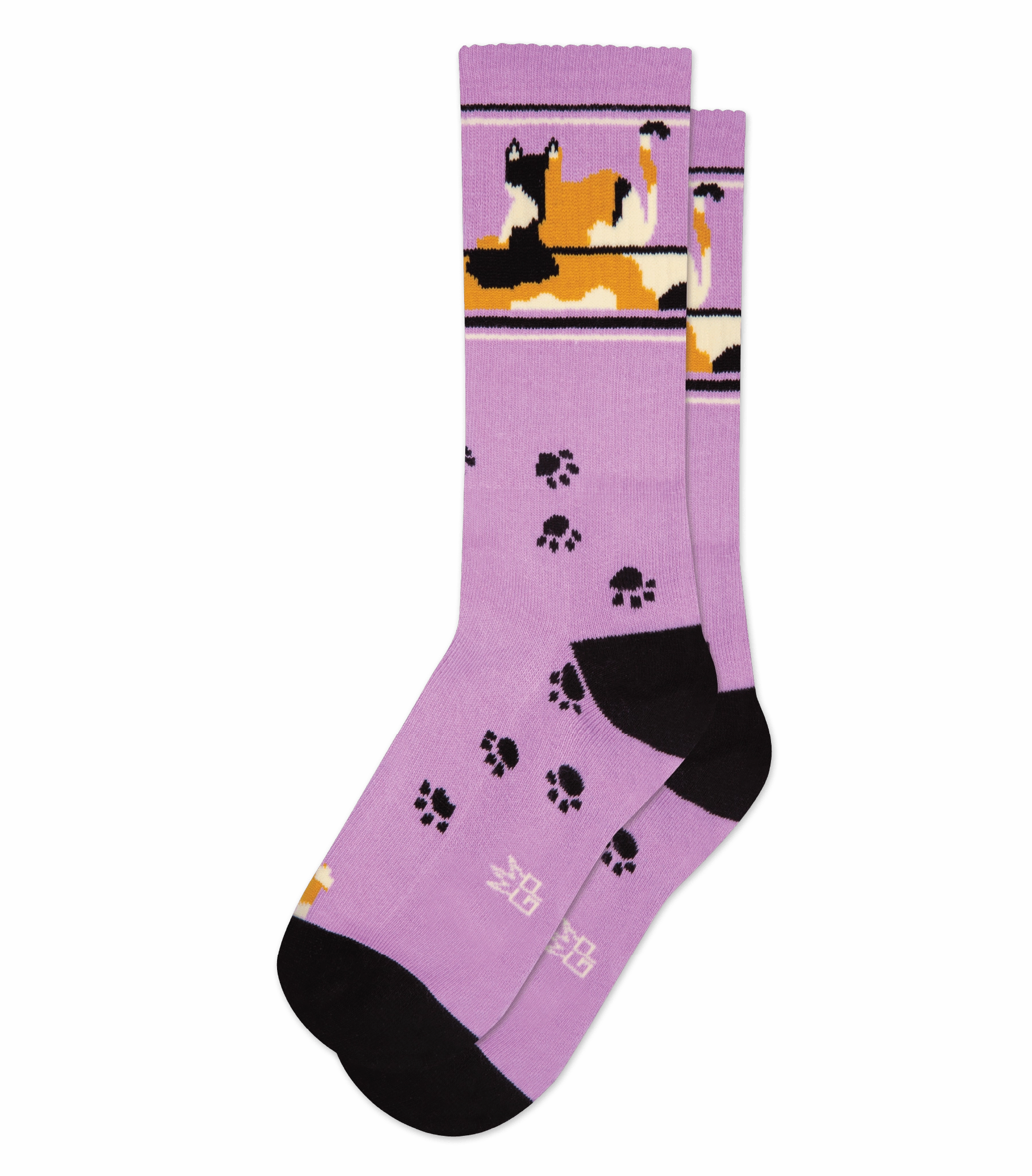 Lounging Calico Cat - Gym Crew Socks
