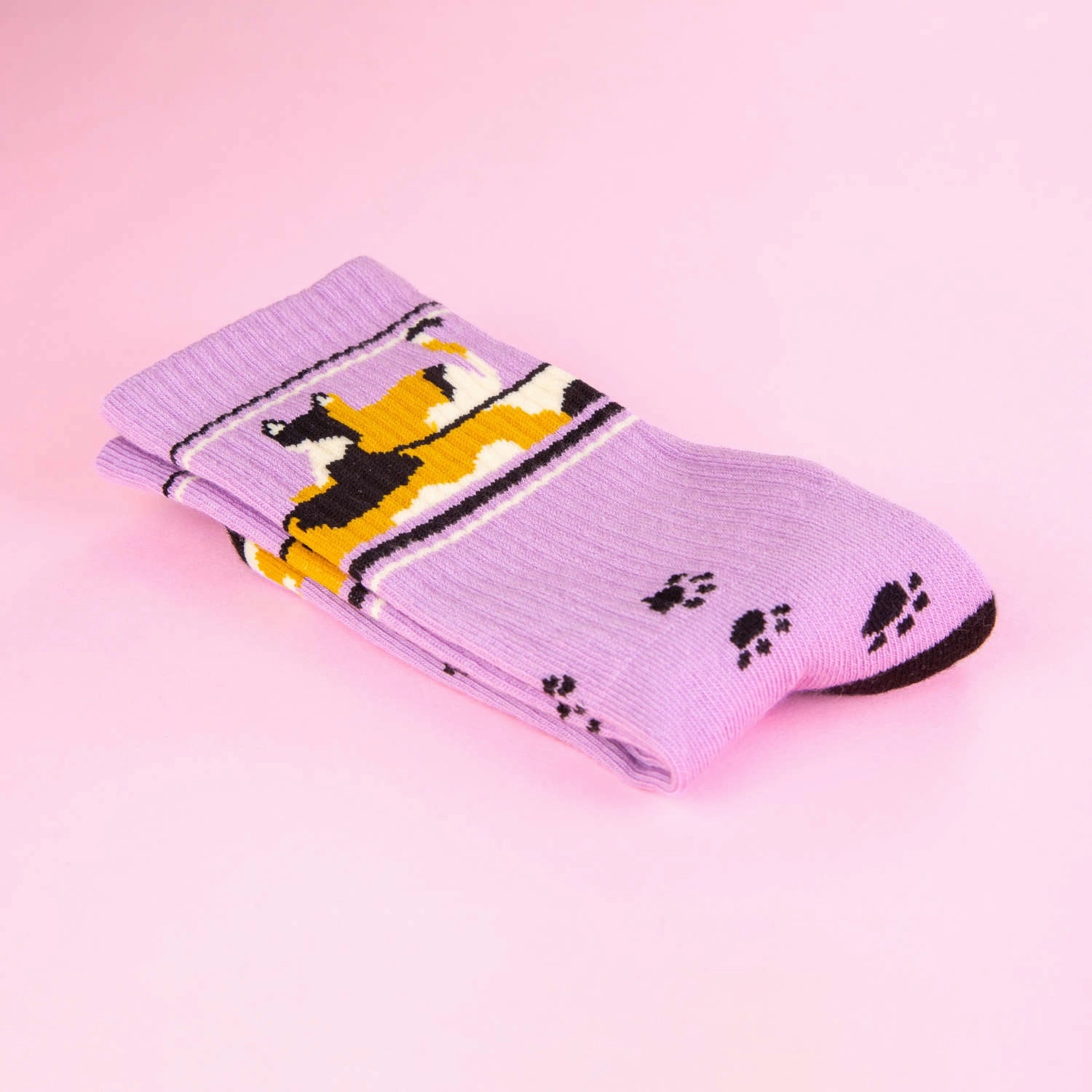 Lounging Calico Cat - Gym Crew Socks