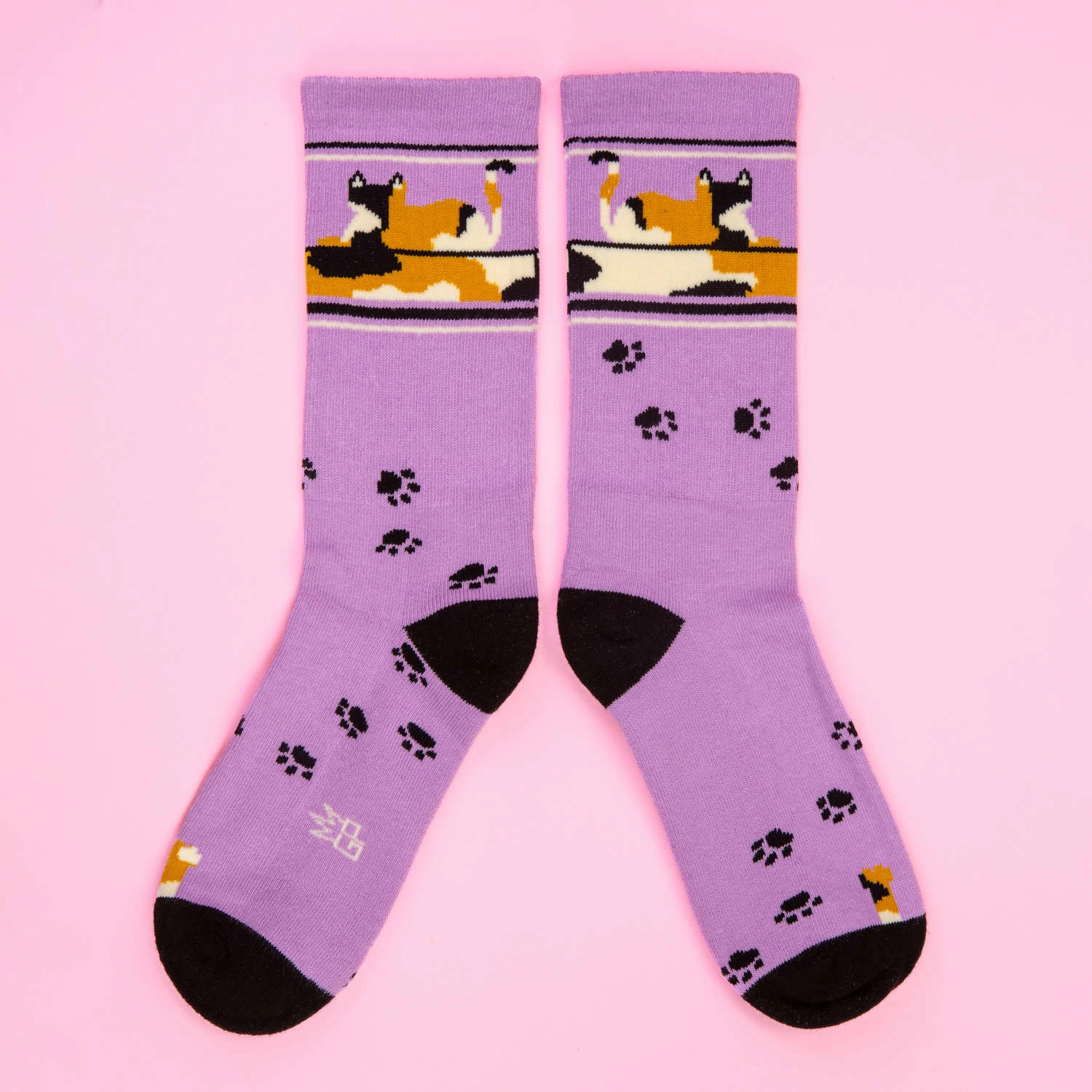 Lounging Calico Cat - Gym Crew Socks