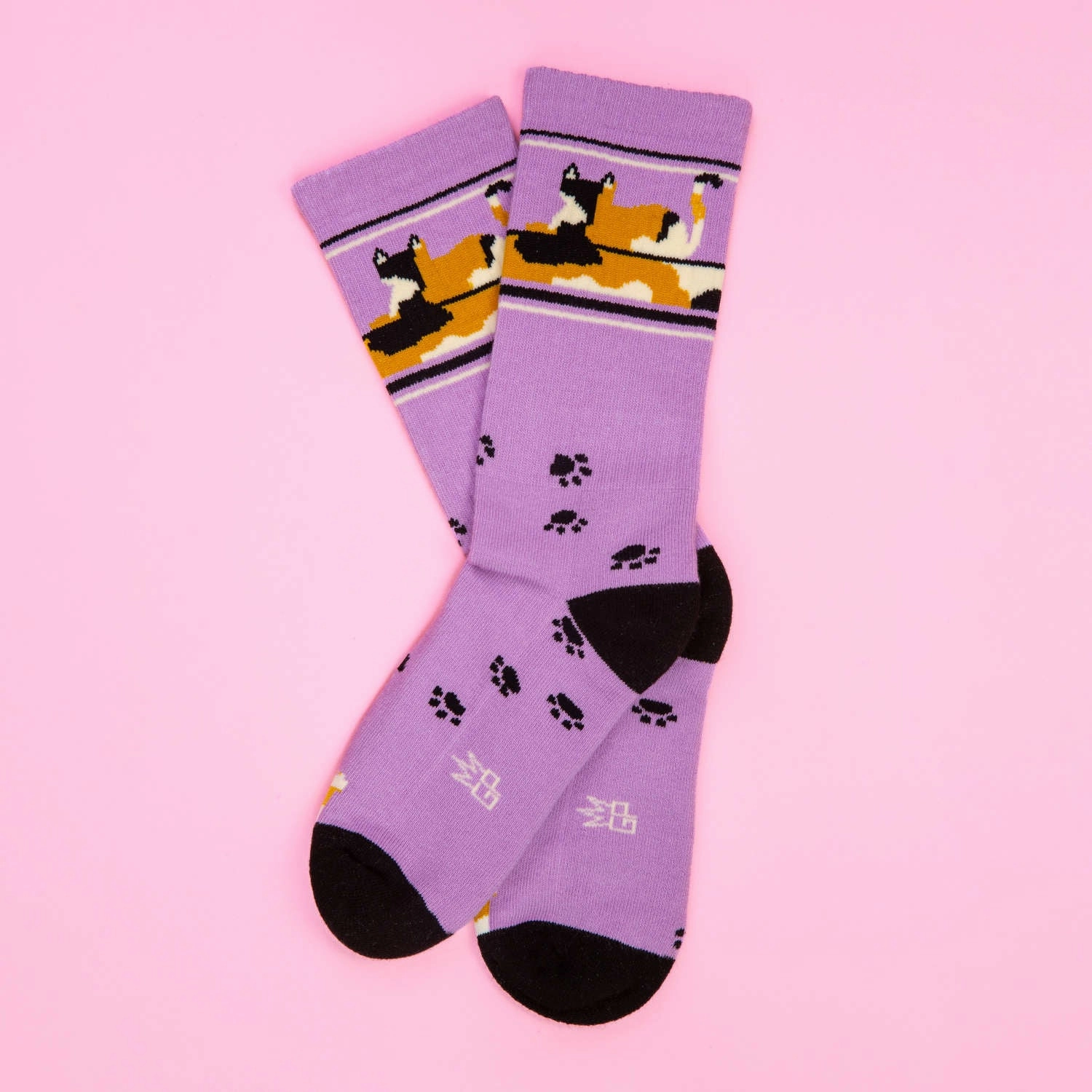 Lounging Calico Cat - Gym Crew Socks