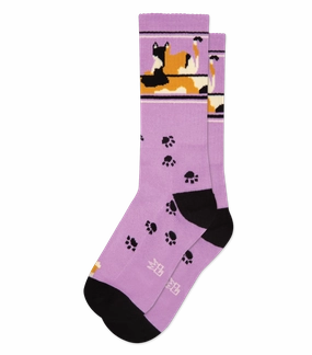 Lounging Calico Cat - Gym Crew Socks