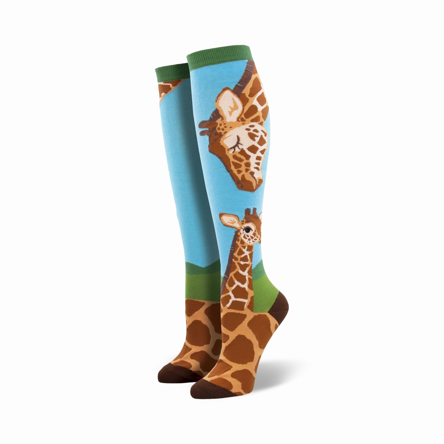 Loving Giraffes