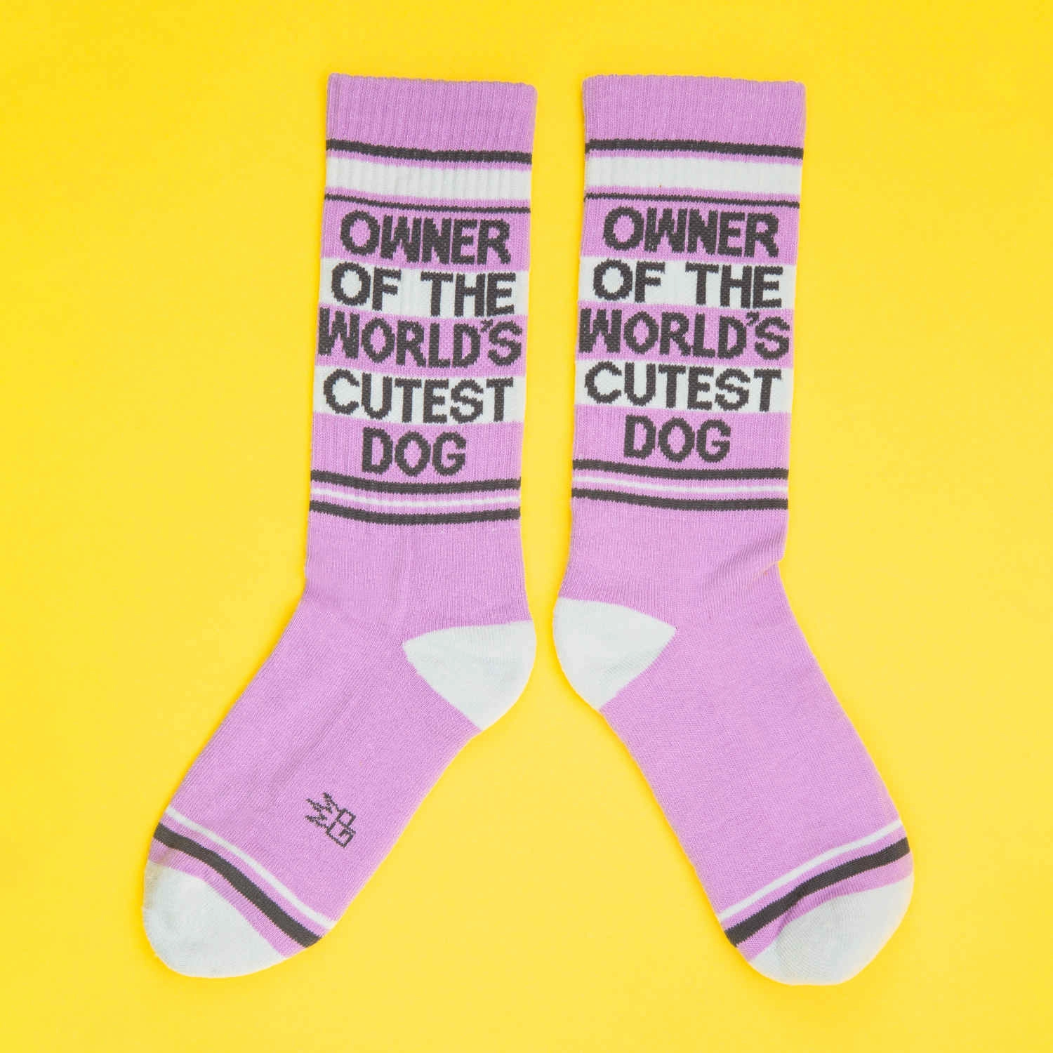 Owner of The World's Cutest Dog - Gym Crew Socks