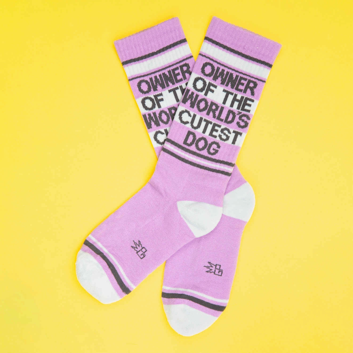Owner of The World's Cutest Dog - Gym Crew Socks