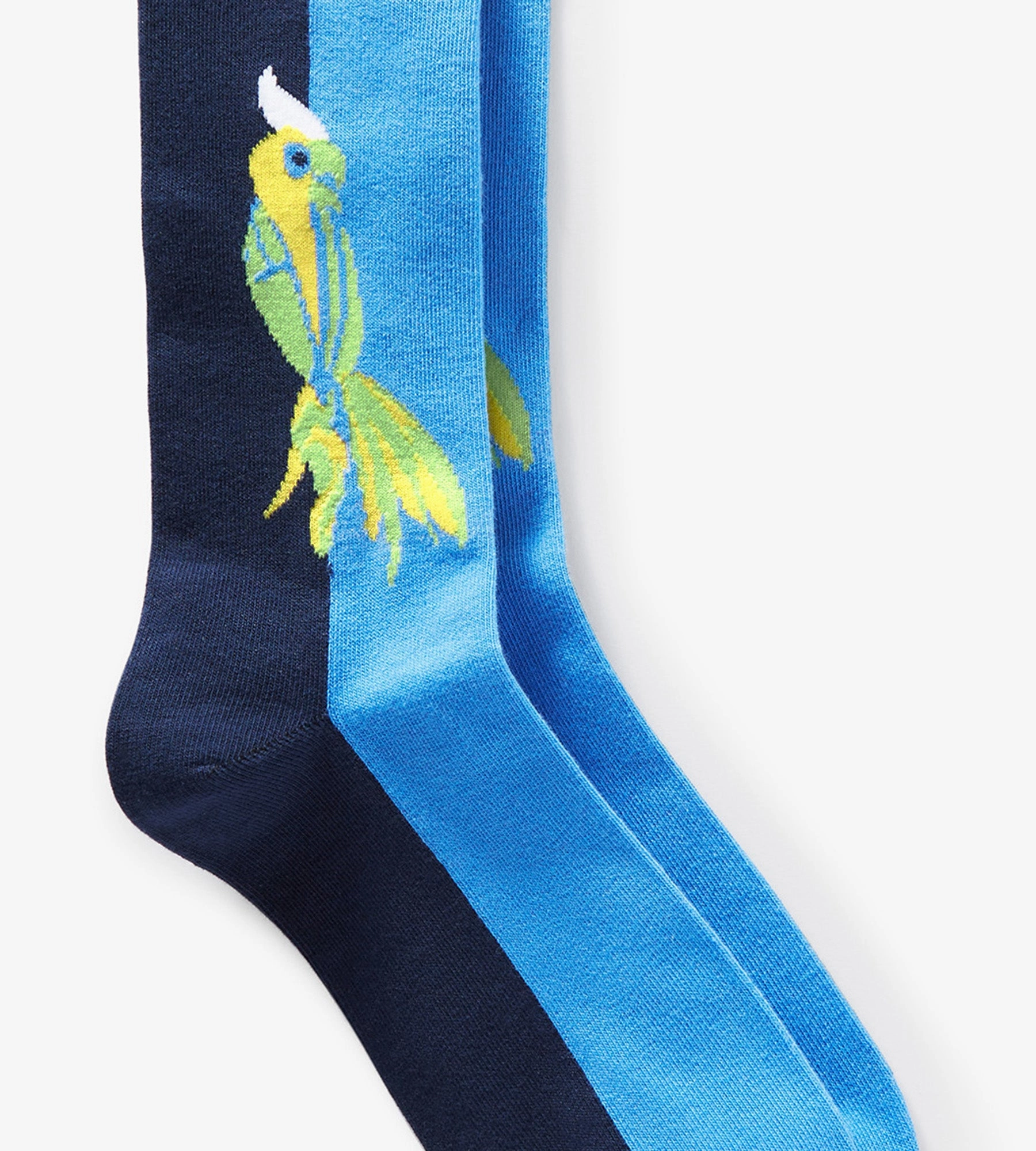 Parrot Socks