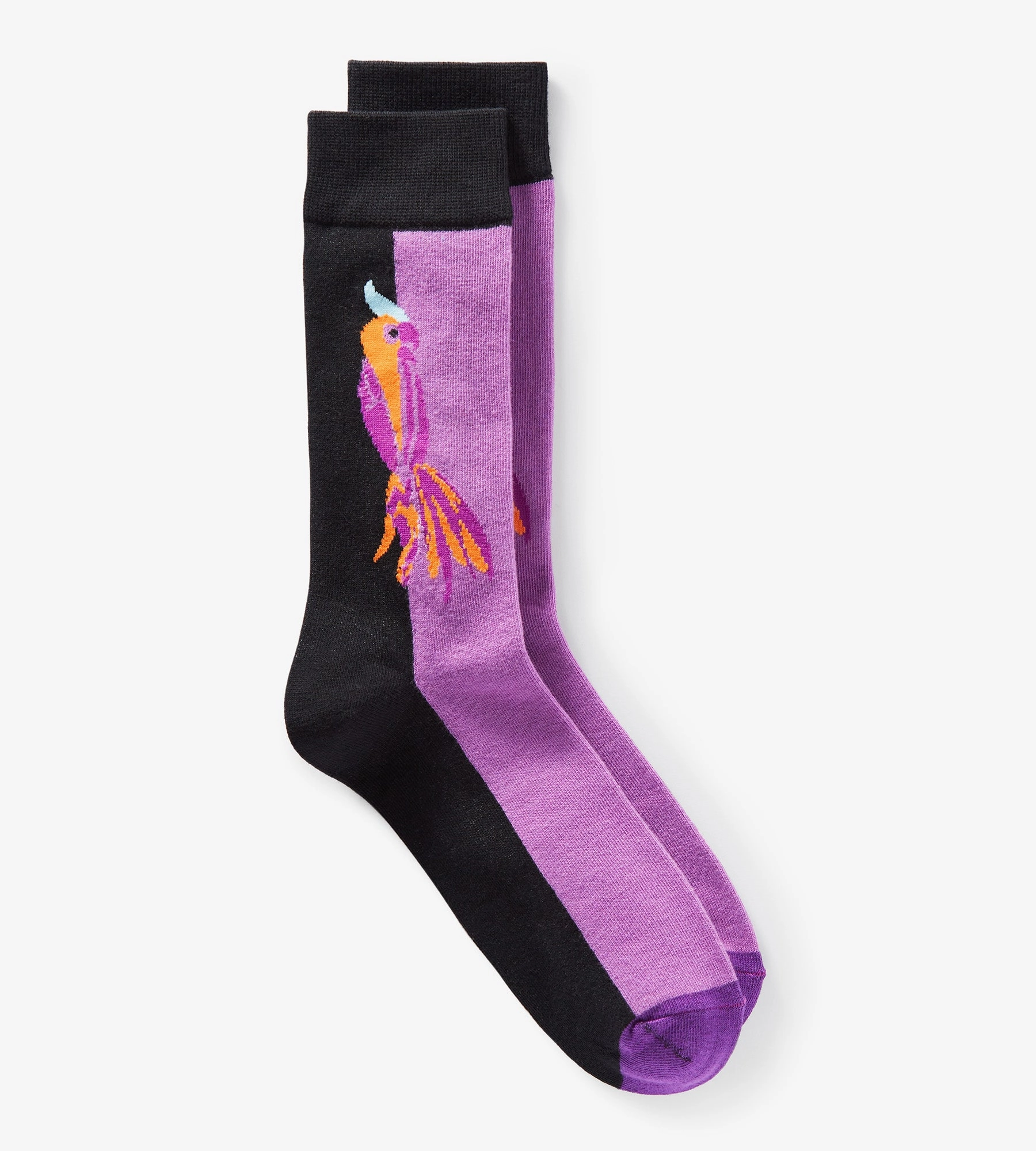 Parrot Socks