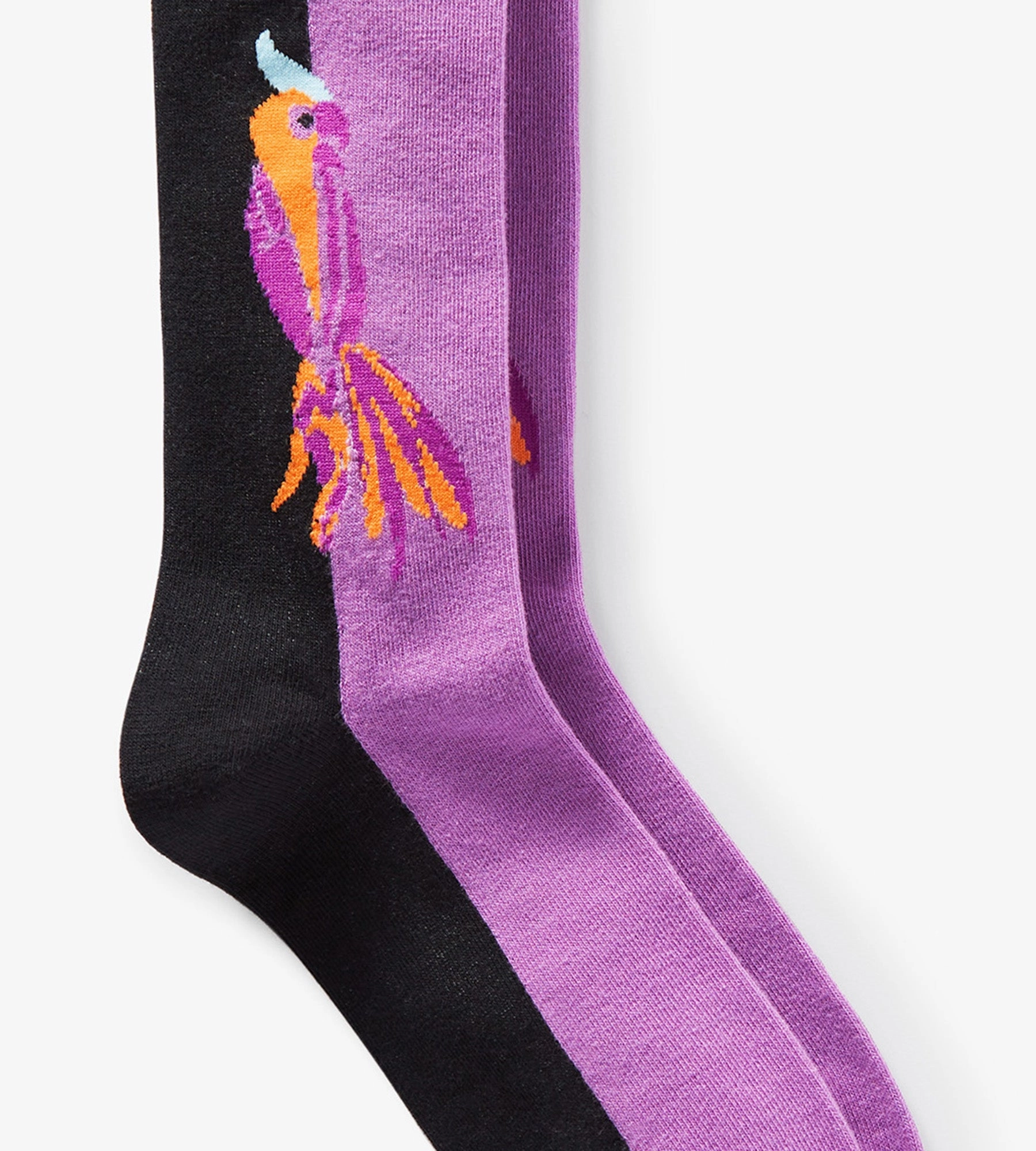 Parrot Socks