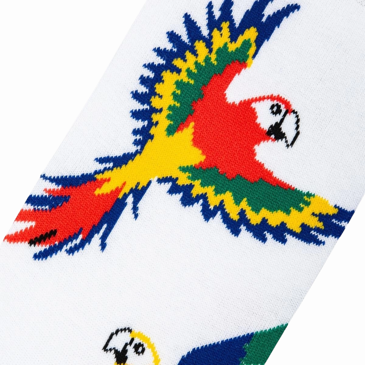 Parrots