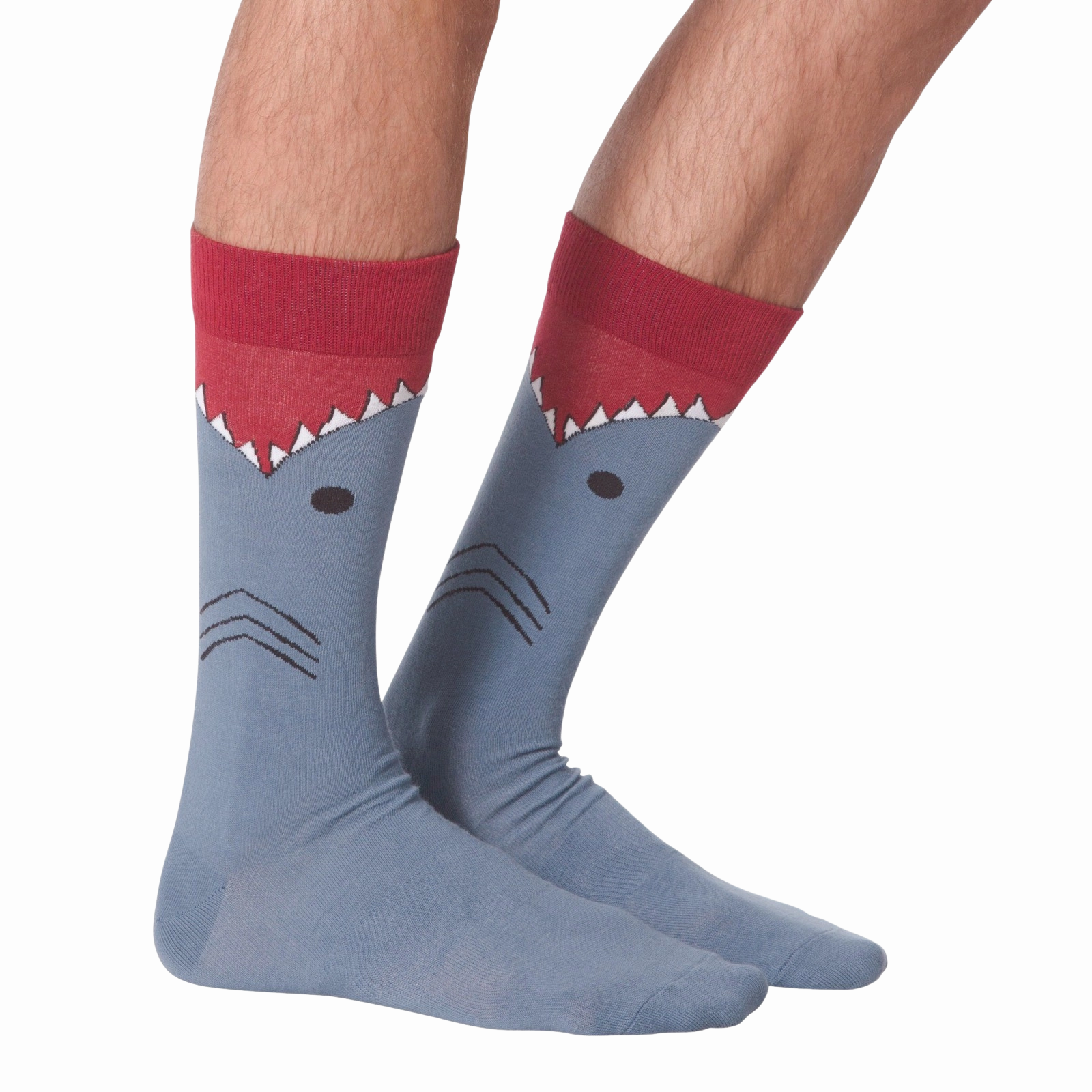 Shark XL