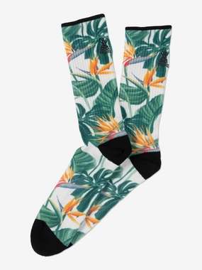The Frond Of Yous (All Day Sock)